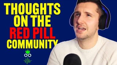 My Thoughts on the Red Pill Community (Clip)